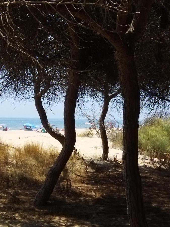 Villa Sol Y Mar Isola Cristina Esterno foto